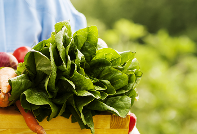 5 benefícios da hortaliça e dos legumes que deves conhecer
