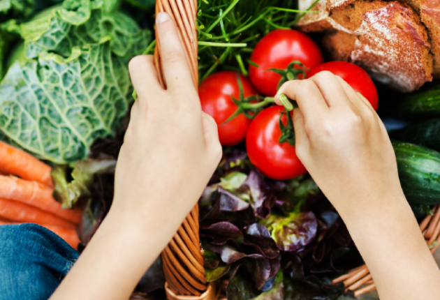 Alimentação saudável para um mundo sustentável