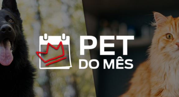 PET do Mês