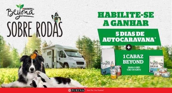 Beyond Sobre Rodas
