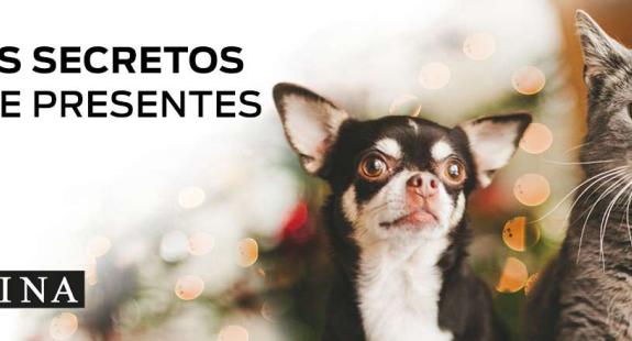 Purina Amigos Secretos