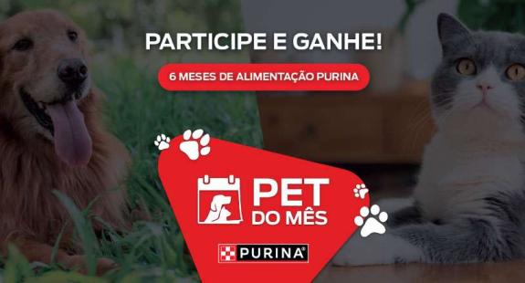 Pet do mês 2025/2026