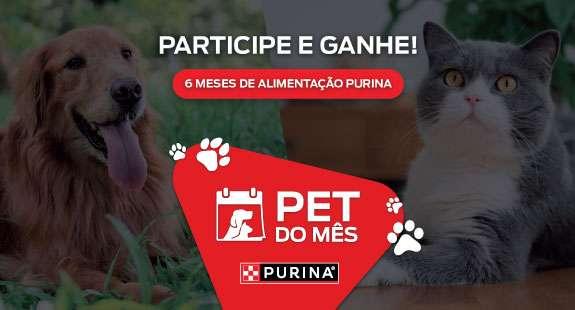 Pet do mês 2025/2026