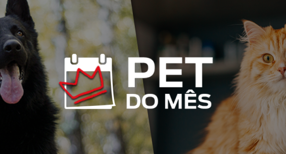 PET do Mês