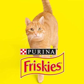 Logo Friskies Gato