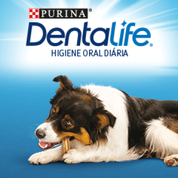 logo dentalife cão