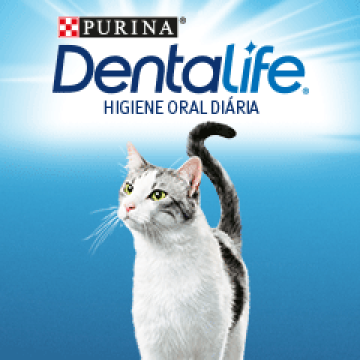 logo dentalife gato
