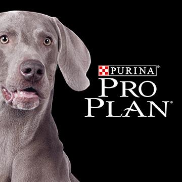logo Purina® Pro Plan® Cão