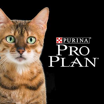 Logo Purina® Pro Plan® Gato
