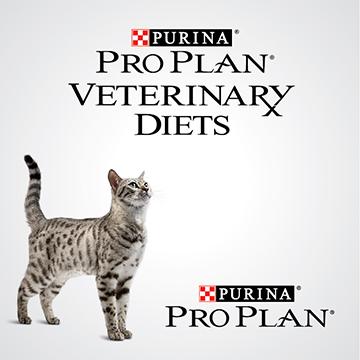 Purina® Pro Plan® VETERINARY DIETS® Gato