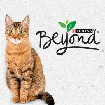logo PURINA BEYOND Gato