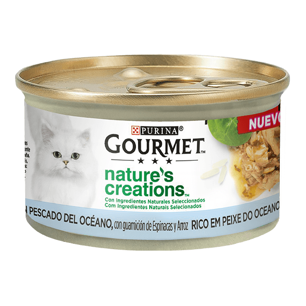 Gourmet Peixe do Oceano guarnecido com Espinafres e Arroz