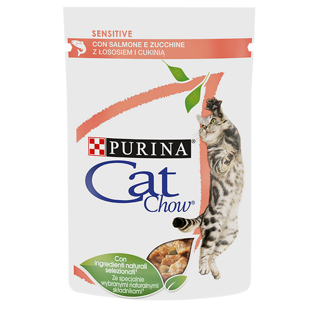 Sensitive com Salmão e Curgetes em Molho