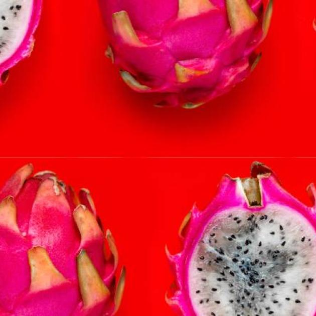 Pitaia ou fruta do dragão: um poderoso antioxidante
