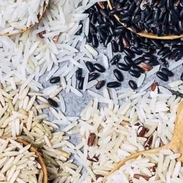 Tipos de arroz e as suas utilizações