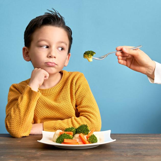 O teu filho não gosta de vegetais? Sabe como introduzi-los na alimentação da criança