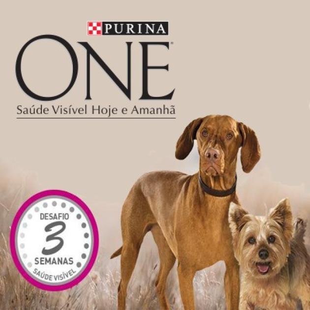 Oferta Purina One
