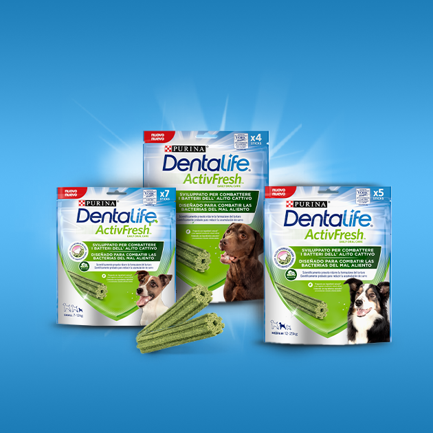 experimente grátis dentalife