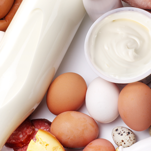 Fontes de Proteína