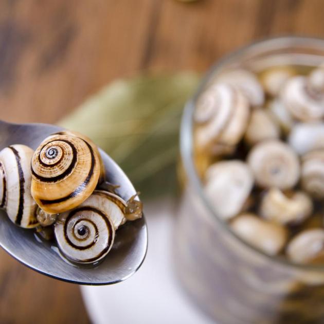 Caracóis