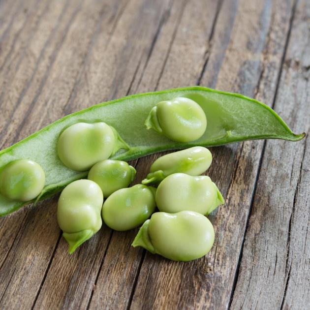 Favas