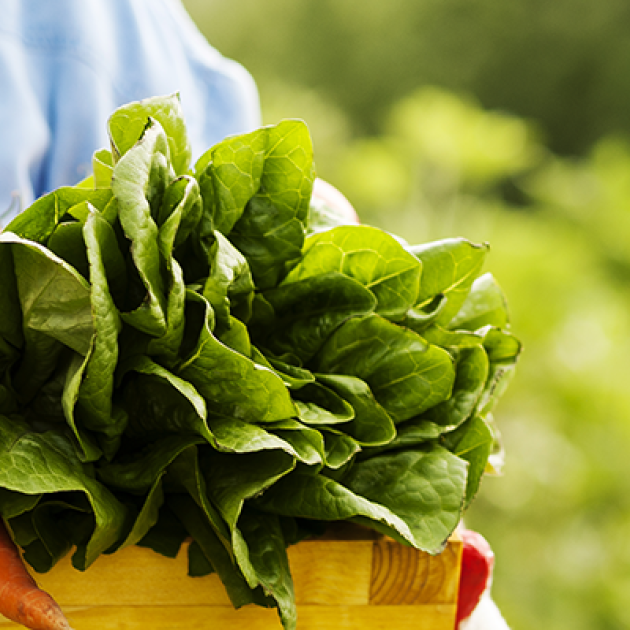 5 benefícios da hortaliça e dos legumes que deves conhecer