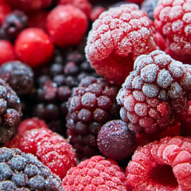 Alimentos Congelados - uma boa opção?