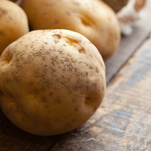 Batata