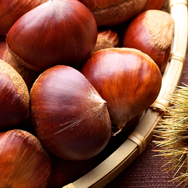 Castanha