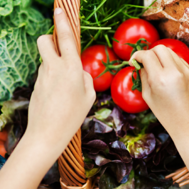 Alimentação saudável para um mundo sustentável