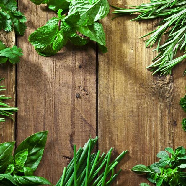 Ervas Aromáticas