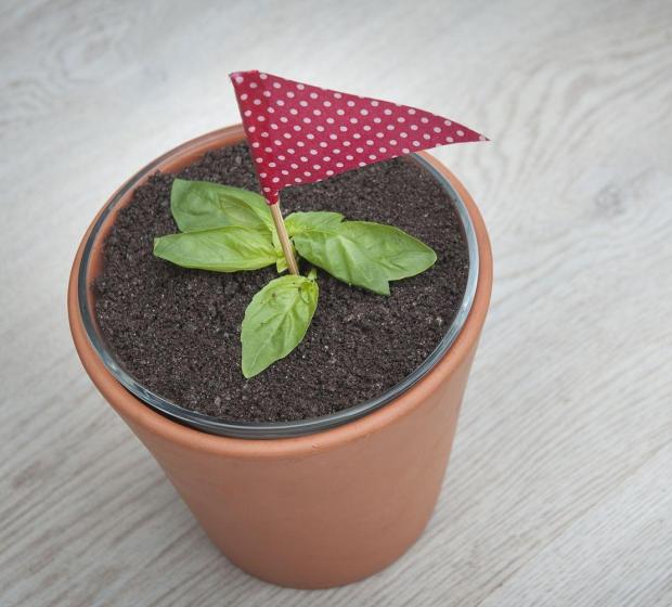 "Receita Cheesecake de S. JoÃ£o"