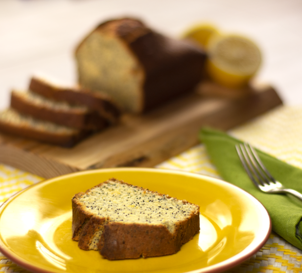 "New Project (1).png"