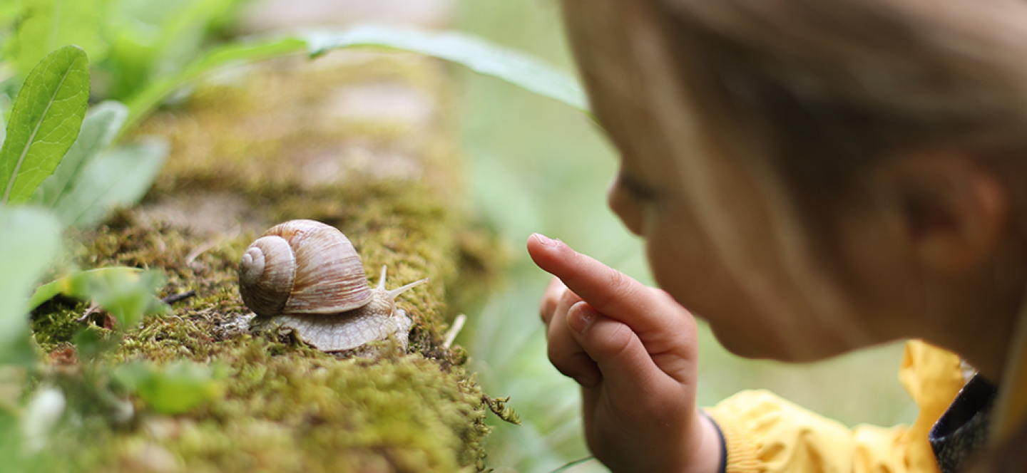 Rapariga a brincar com um caracol