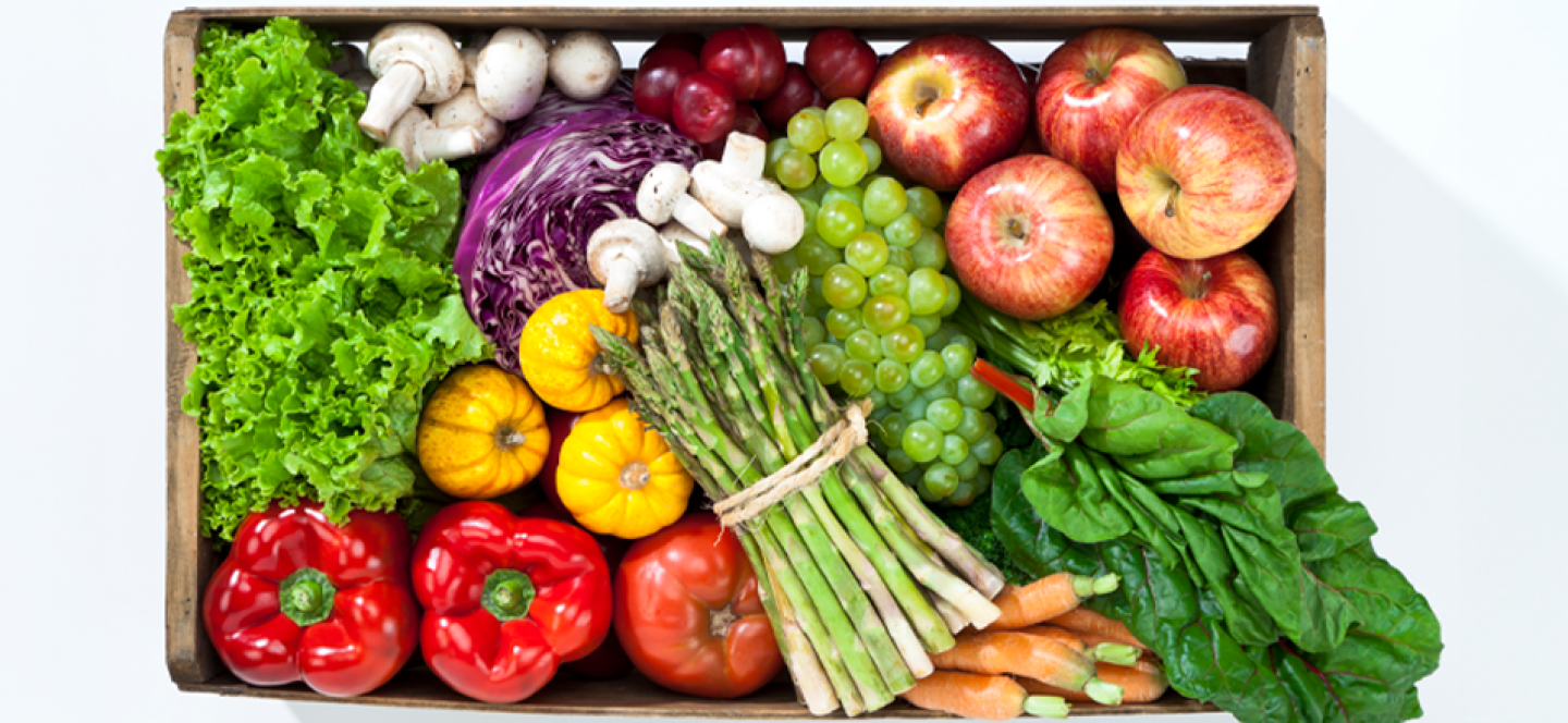 Sazonalidade das frutas e hortículas