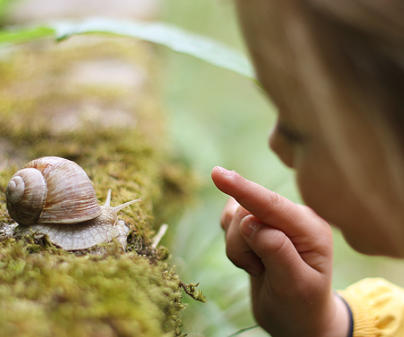 Rapariga a brincar com um caracol