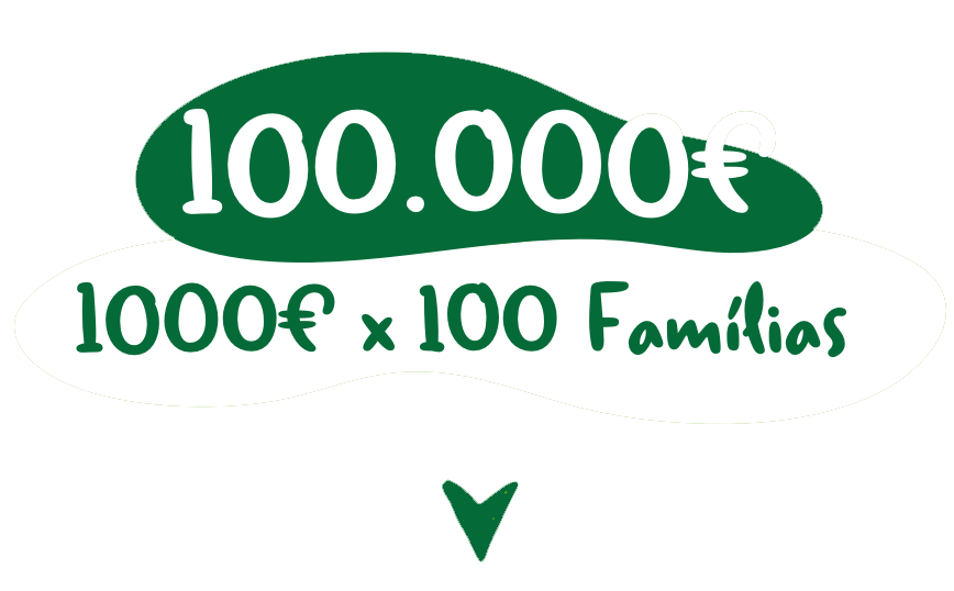 100.000€. 1000€ x 100 Famílias